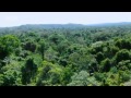 wo das klima auf der kippe steht amazonien