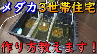 加温飼育・産卵スペースに最適！NV BOXが大変身！