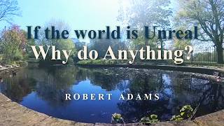 Robert Adams. 'Why Do Anything At All?'