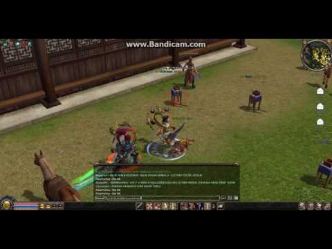 Metin2 Anadolu PunkArt