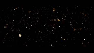 Dark Background With Particles Floating In Foreground 4K - Free Hd Video Clips Stock Video Footage