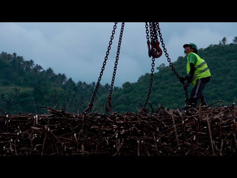 The Sugar Bowl (2011) Full Documentary