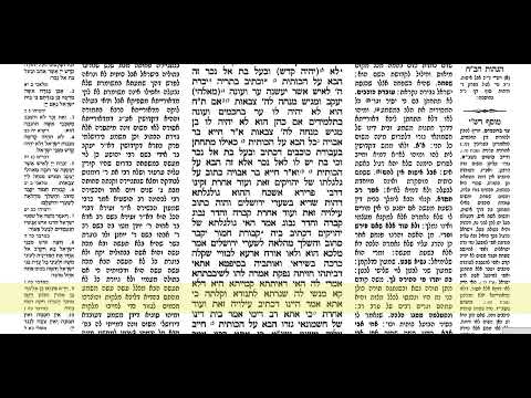 דף יומי סנהדרין דף פב