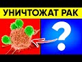 Онколог: Вот Эти 10 Продуктов Быстро Уничтожают Раковые Клетки!