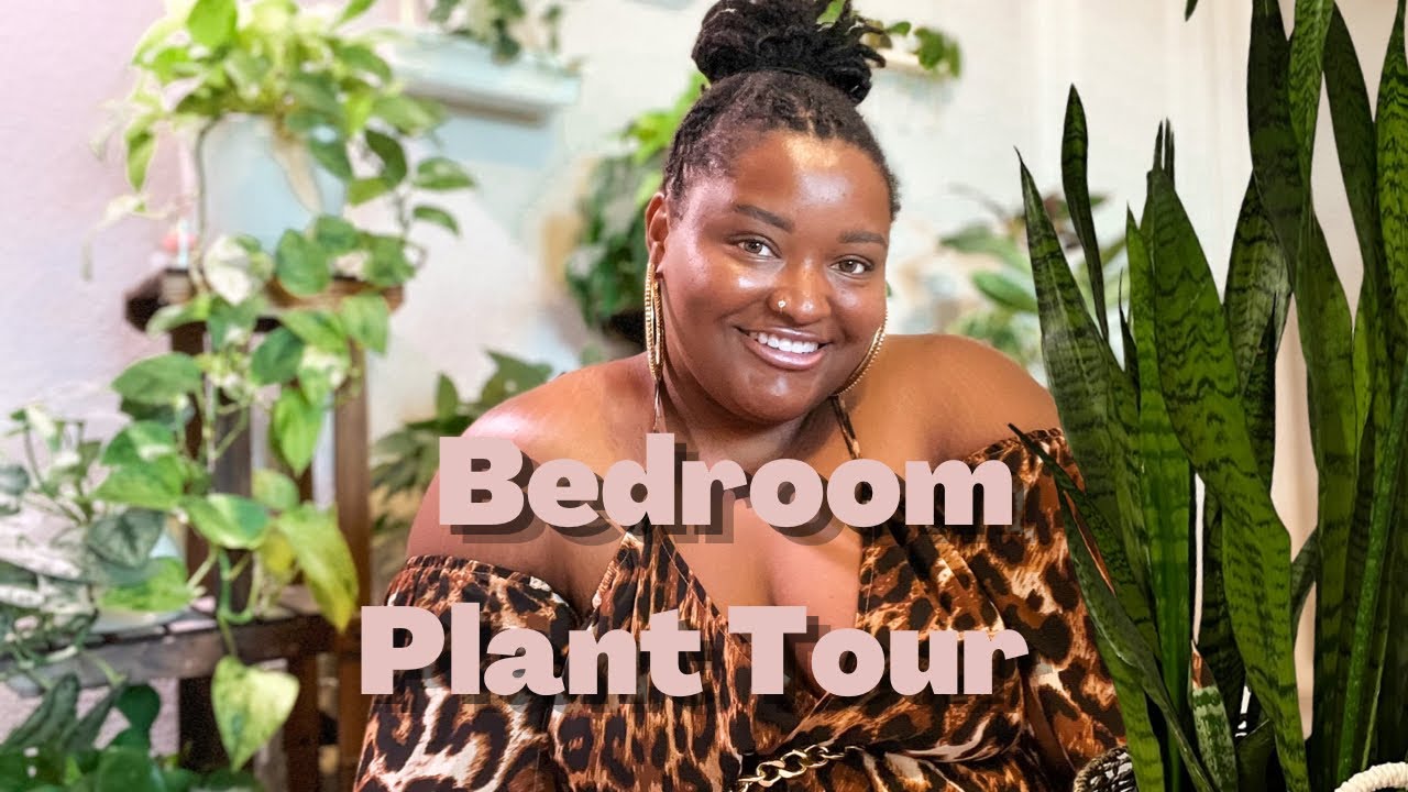 HOUSEPLANT TOUR SUMMER 2022 Relaxing bedroom plant tour YouTube