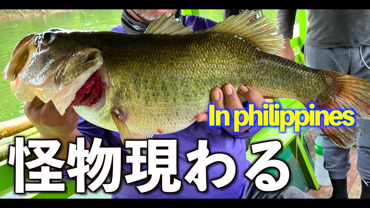 バス釣り海外 フィリピンで60upの怪物現わる 思わぬ自己記録更新のブラックバス 魚釣り系you Tuberまとめサイト Fishing