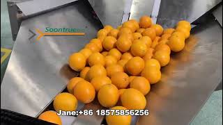 Full automatic orange flow pack machine with feeder Soontrue Jane