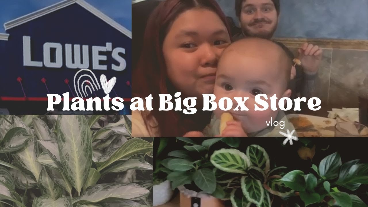 Let's See What Plants lowes Garden Center Has Glasgow, Kentucky