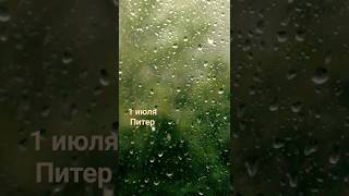 Ливень Гроза Питер #питер #дождь #спб #гроза #купчино #вид из окна