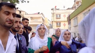 Daweta Ci̇zi̇rya Eşi̇ra Hezexi̇ya Azad Dewri̇m Irtibat No …(0541 351 3941)