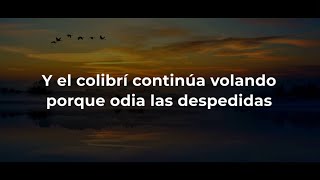 Carly Pearce - hummingbird (Subtitulado en Español)