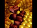 Corn on the cob sewing in the center of the earth - Randi