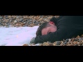 Fathoms - Hell (Music Video)