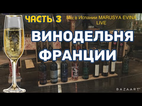 Видео: Эмилио Эстевес Собственный капитал: Вики, женат, семья, свадьба, зарплата, братья и сестры