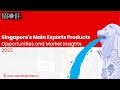 Singapore's Main Exports Products: Opportunities and Market Insights 2025