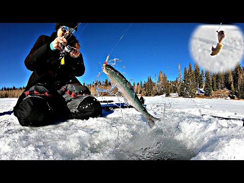 How to Rig and Fish WAX WORMS for Trout - ICE FISHING 