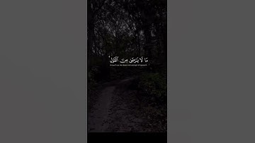 تلاوه خاشعه للشيخ ياسر الدوسري