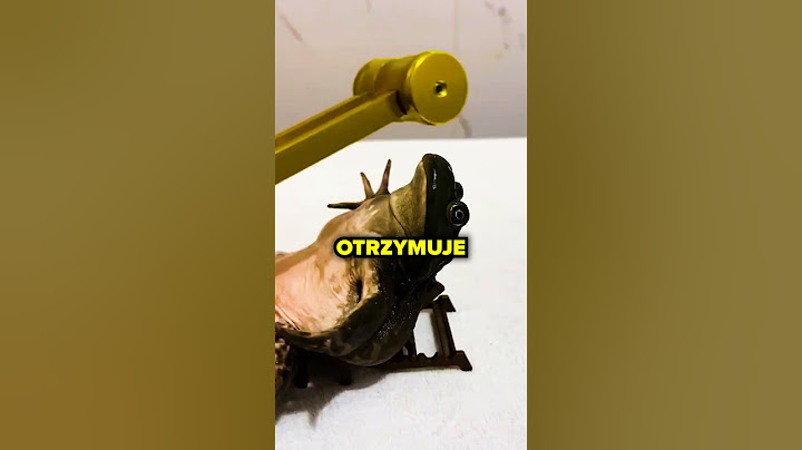 VIP ŻABKA!🐸 💰