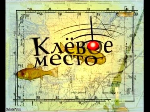 Клёвое место. Москва-Питер. Реки Нарва и Нева. Окончание поездки