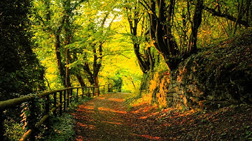 4 Hours Ocean Waves ~ Relaxing sleep music on a Tropical Beach : Sleep Study Spa Relaxation