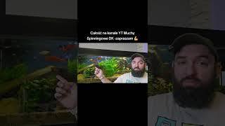 PRZYDUCHA -Co zabija ryby zima? TO nie tylko TLEN! #fishing #szczupak #wędkarstwo #zimowaprzyducha