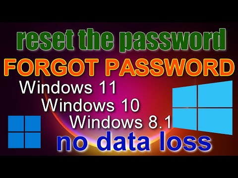 ✨HOW TO RESET Administrator PASSWORD in Windows 11,10,8.1 ➡️ Without Data Loss ➡️ Without software