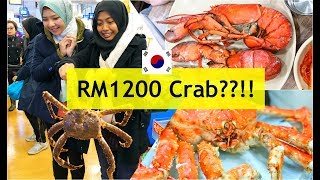 Spent RM1600++ Dinner | Noryangjin Fish Market