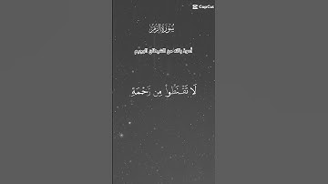 #اَلَذِّكْرٌ_الحَكِيمٌ #قرآن #المصحف #قران_كريم #قرآن #سورة الزمر