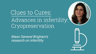Clues to Cures: Advances in Infertility | Mass General Brigham Guide