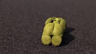 Verne Butt