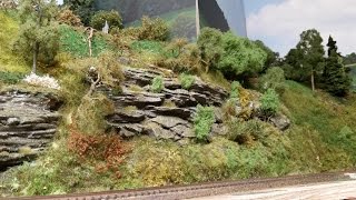 Model Railroad Update 59- Scenery: trees, shrubs, details