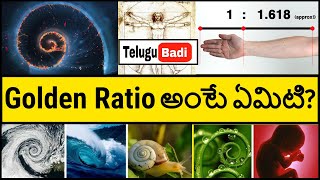 What is Golden Ratio Explained in Telugu | Fibonacci Sequence in Telugu | Telugu Badi screenshot 3