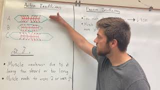 Active Insufficiency vs Passive Insufficiency Net Worth