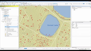 ArcMap Labels and Identity