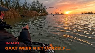 19 12 2025 Het Gaat Niet Vanzelf