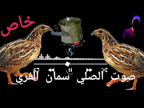 صوت الصلي سمان الفري ٢٠٢٢