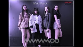 엔터아트MAMAMOO 마마무 – WIND FLOWER커버댄스