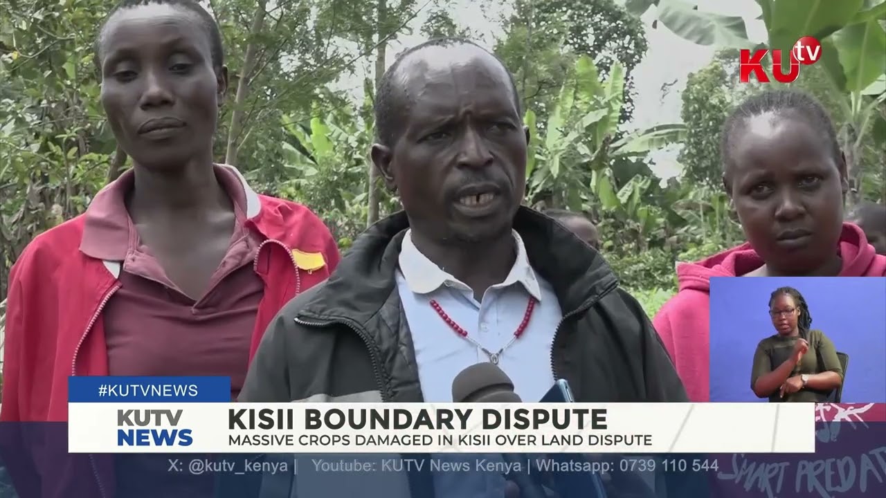 Massive crop damaged in Kisii over land dispute