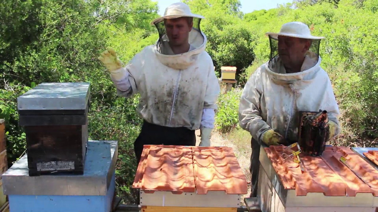 Desdobramento sem rainha e sem realeira! - Parte 1