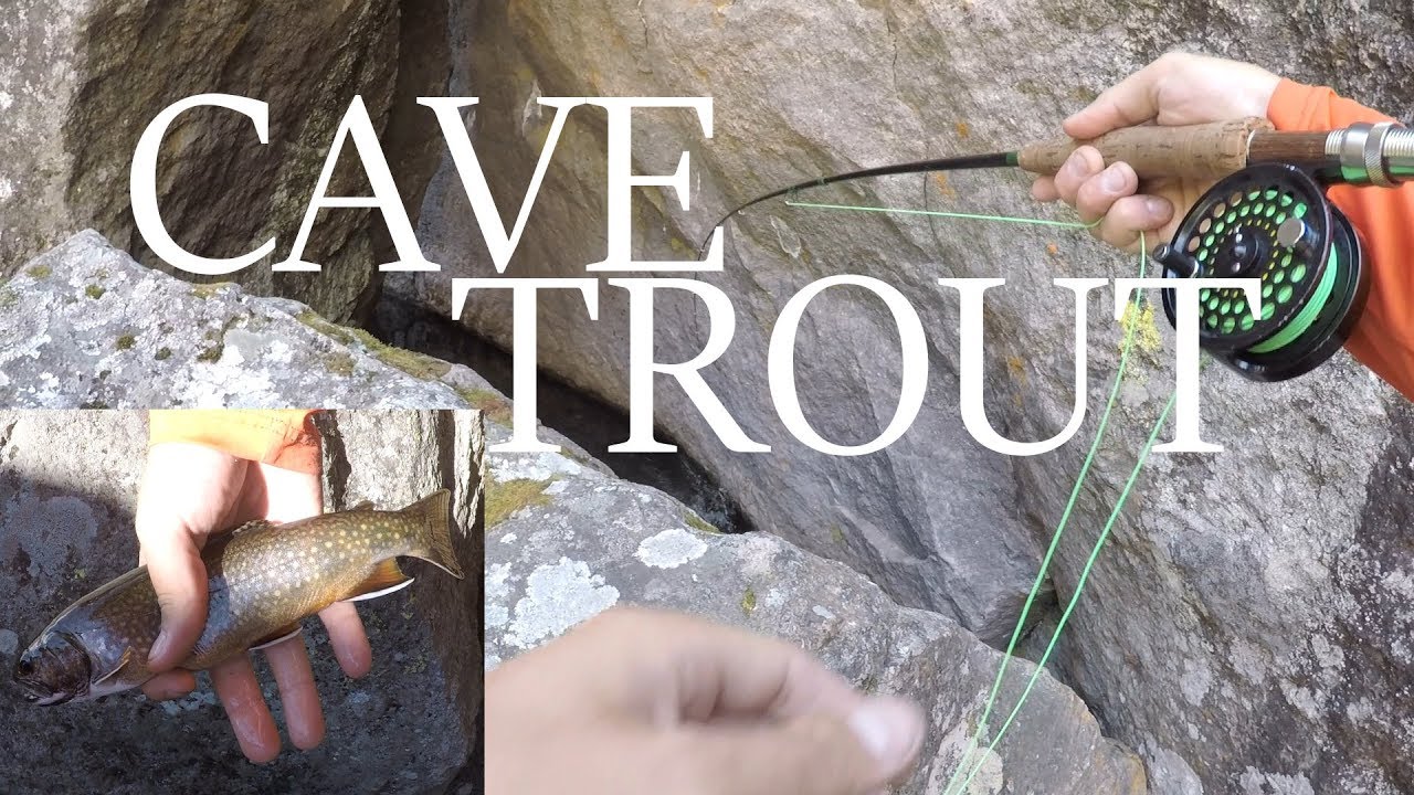 Flying Rods Cave Jump CAVE Trout on a Fly Rod!!! Elk Lake - Day 2 - YouTube