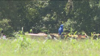 Celebrity Stinky problem: 'Chicken sludge scent fouls neighborhoods Wealth