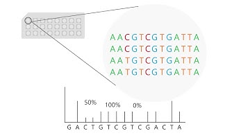 Pyrosequencing: how to interpret results
