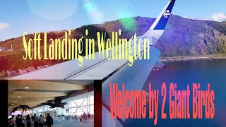 Soft Landing in Wellington Airport screenshot 2