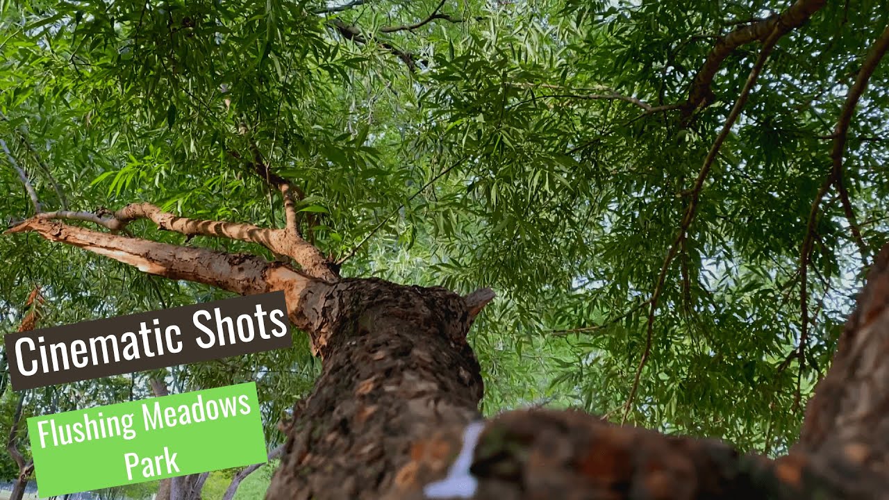 Flushing Meadows Park Cinematic Shoots YouTube