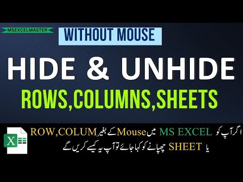 Hide and Unhide Rows, Columns & Sheets in Microsoft Excel Without Mouse || MS Excel Shortcut Keys
