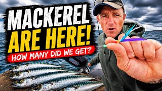 The Mackerel Have Finally Arrived! - But How Many Did We Get?
