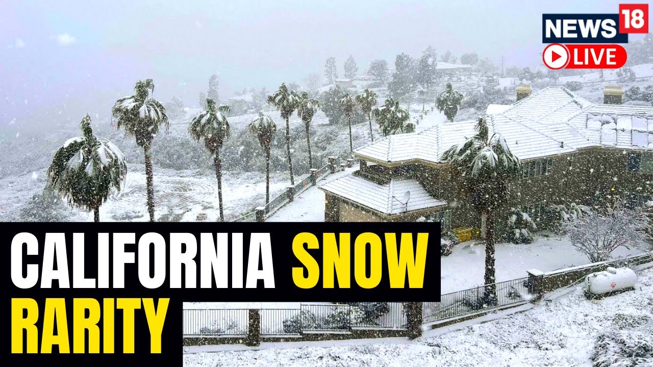 Unusual Winter Storm Brings Heavy Snow In California | Winter Storm In ...