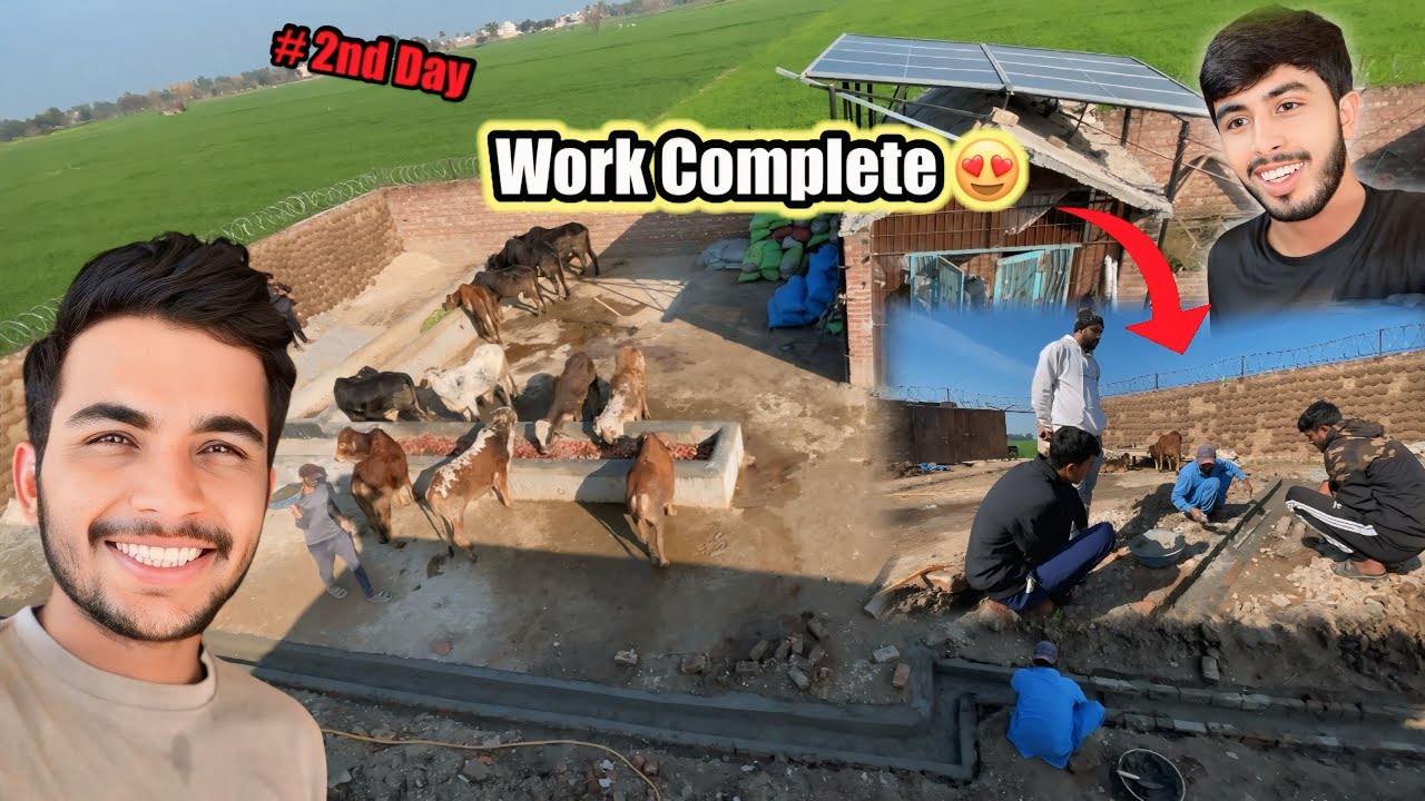 New goat 🐐House 🏡 Work Start # 2nd Day | Zohaib Pendu | Saqlain Pendu 
