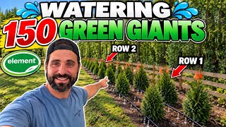 How I WATER 150 Green Giants l 1,200 FT SoakerPRO System