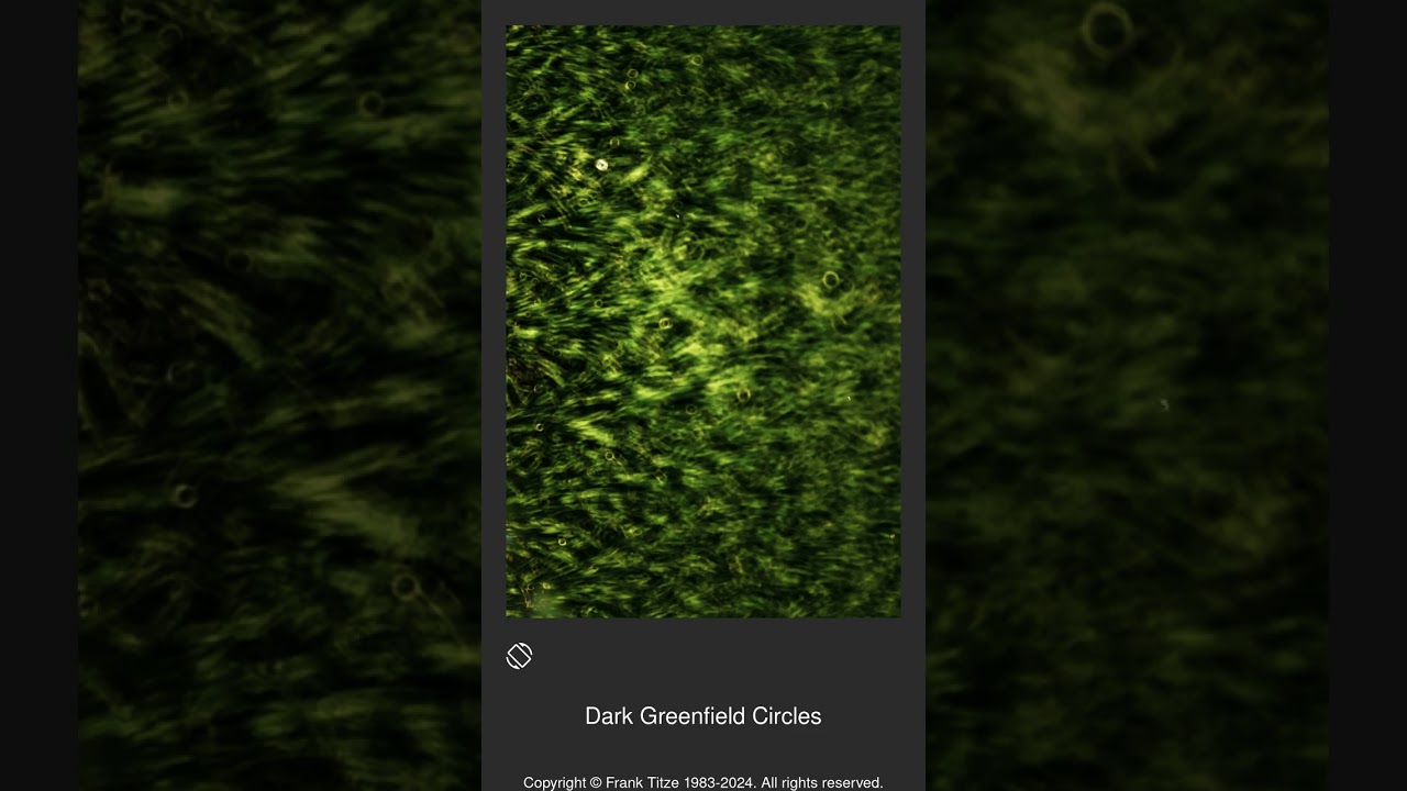 008984 - Dark Greenfield Circles